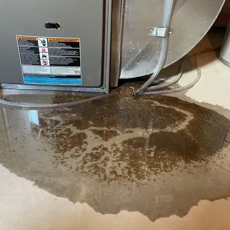 Appliance Leak Cleanup in Goodyear, AZ